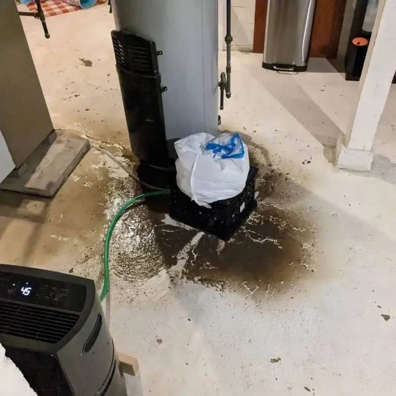 Sewage Backup Cleanup Service in Eads, CO